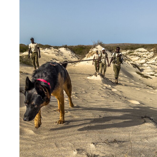 New 1 carousel image 3