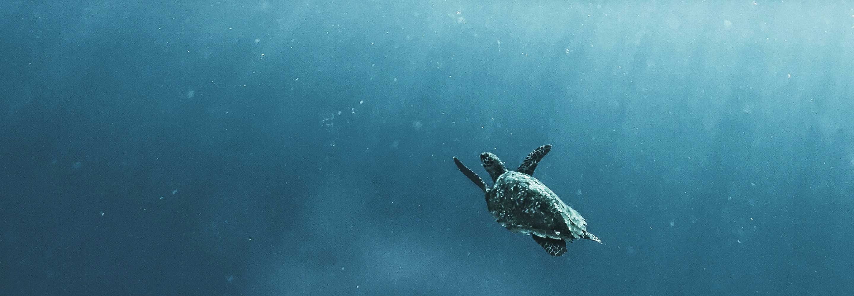 Responsible Fashion banner