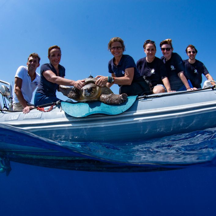 New 1 carousel image