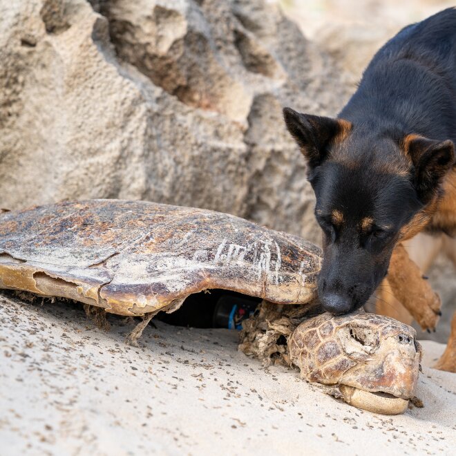 New 1 carousel image 3