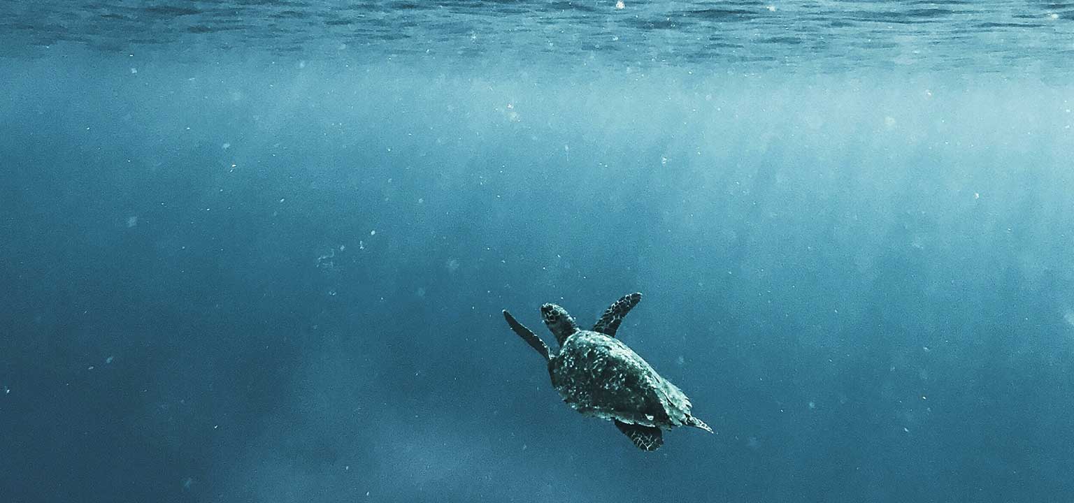 Responsible Fashion banner