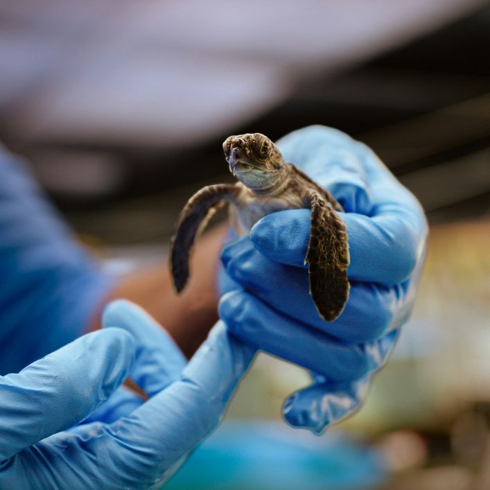 New 1 additional image