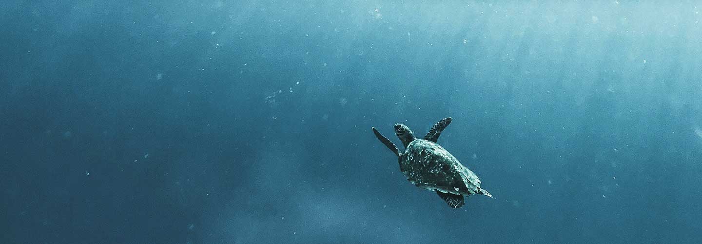 Responsible Fashion banner