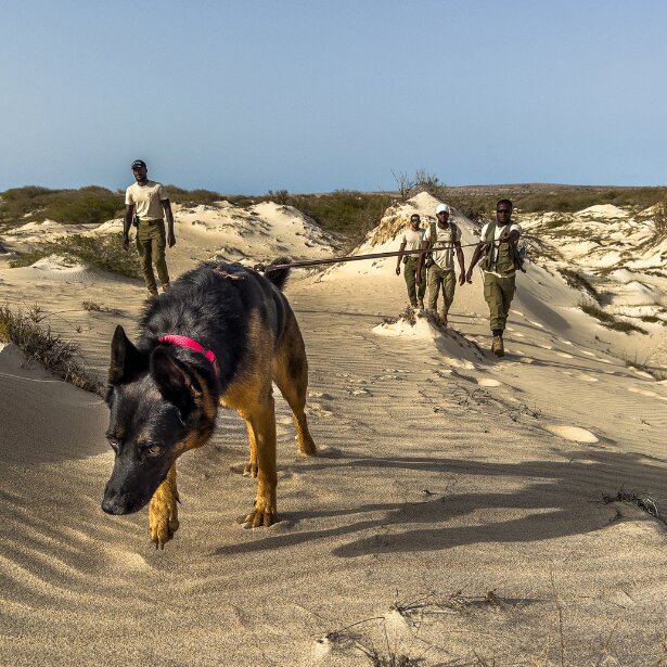 New 1 carousel image 3