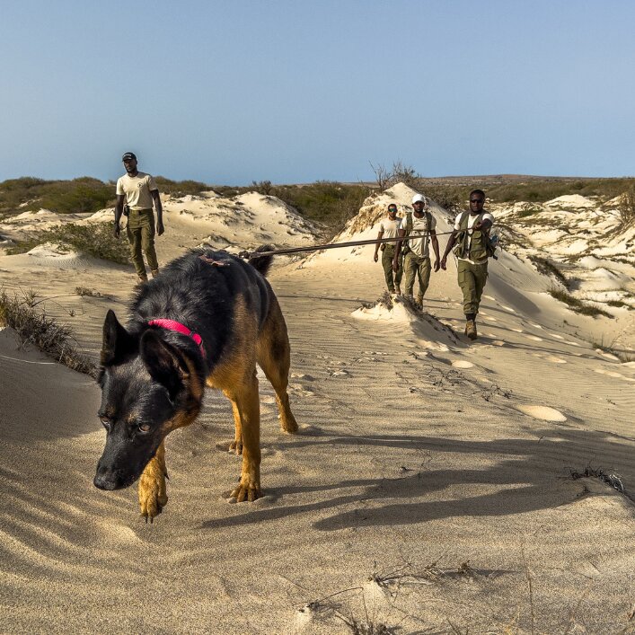 New 1 carousel image 3